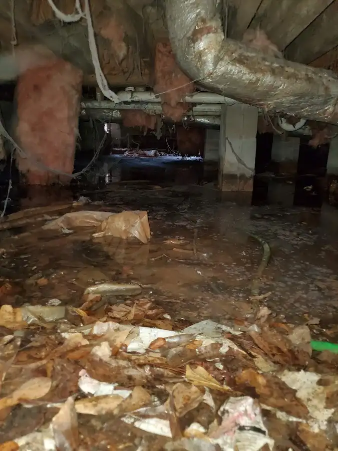 Crawl space flood assessment for Leak Detection & Repair in Lihue